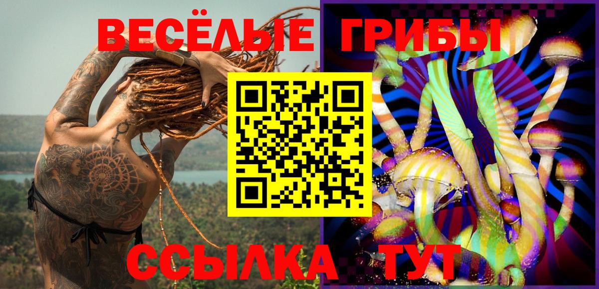 Псилоцибиновые грибы MAGIC MUSHROOMS  Вход с VPN  Ангарск  Галлюциногенные грибы мухоморы 