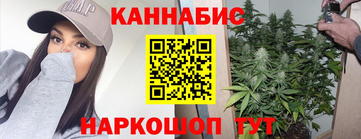 Конопля сатива Ангарск